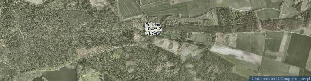 Zdjęcie satelitarne Brzezina Sułowska Gajówka ul.